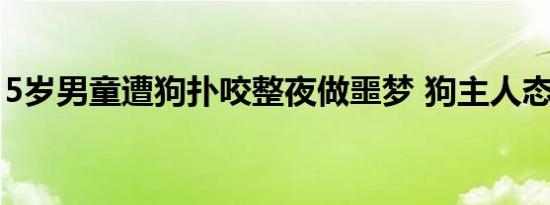5岁男童遭狗扑咬整夜做噩梦 狗主人态度恶劣