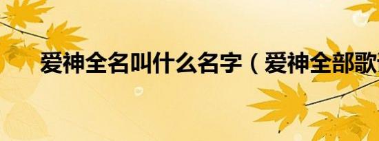 爱神全名叫什么名字（爱神全部歌词）