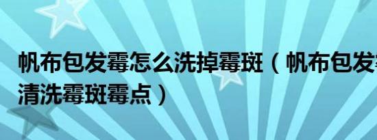 帆布包发霉怎么洗掉霉斑（帆布包发霉了怎么清洗霉斑霉点）