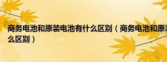 商务电池和原装电池有什么区别（商务电池和原装电池有什么区别）