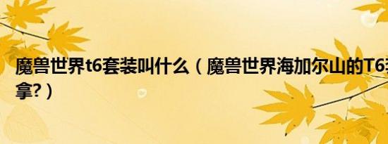 魔兽世界t6套装叫什么（魔兽世界海加尔山的t6套装要怎么拿?）