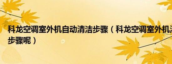 科龙空调室外机自动清洁步骤（科龙空调室外机清洁有什么步骤呢）