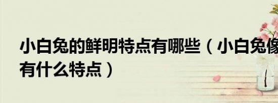 小白兔的鲜明特点有哪些（小白兔像什么,它有什么特点）