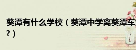 葵潭有什么学校（葵潭中学离葵潭车站有多远?）
