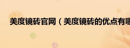 美度镜砖九游官网网页版官网（美度镜砖的优点有哪些）