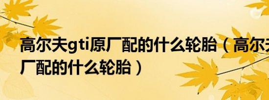 高尔夫gti原厂配的什么轮胎（高尔夫gti原厂配的什么轮胎）