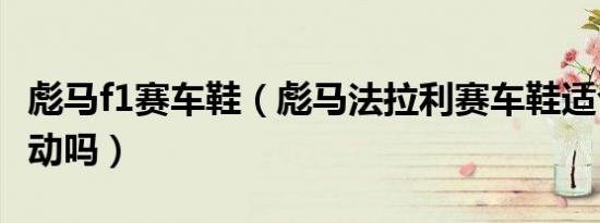 彪马f1赛车鞋（彪马法拉利赛车鞋适合剧烈运动吗）