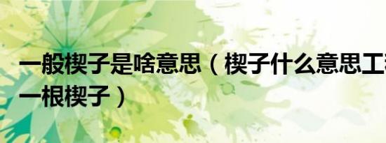 一般楔子是啥意思（楔子什么意思工程师拿出一根楔子）