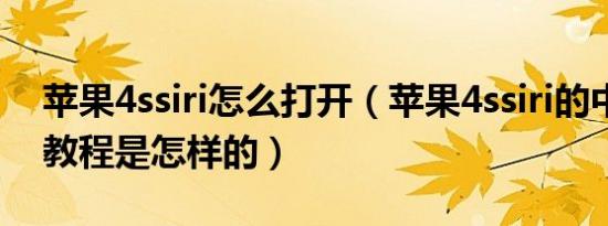 苹果4ssiri怎么打开（苹果4ssiri的中文安装教程是怎样的）