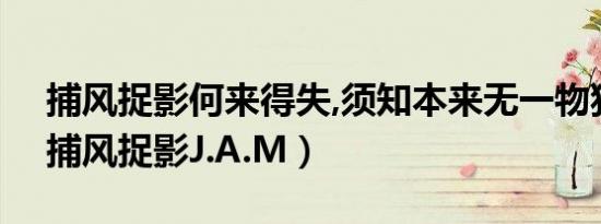 捕风捉影何来得失,须知本来无一物猜一肖（捕风捉影j.a.m）
