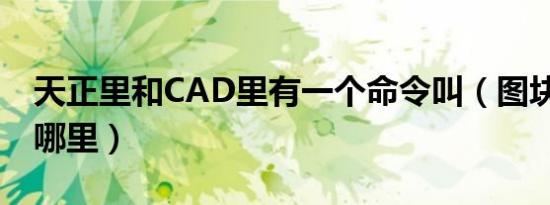 天正里和cad里有一个命令叫（图块改名 在哪里）