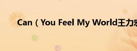 can（you feel my world王力宏）