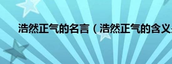浩然正气的名言（浩然正气的含义是）