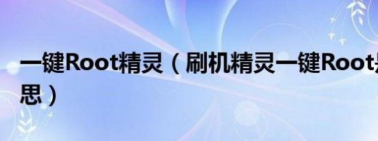 一键root精灵（刷机精灵一键root是什么意思）