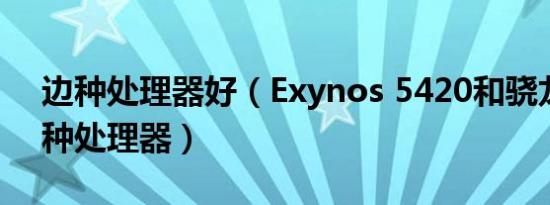 边种处理器好（exynos 5420和骁龙800两种处理器）