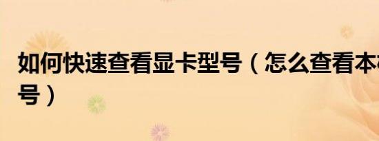 如何快速查看显卡型号（怎么查看本机显卡型号）