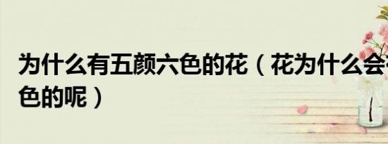 为什么有五颜六色的花（花为什么会有五颜六色的呢）