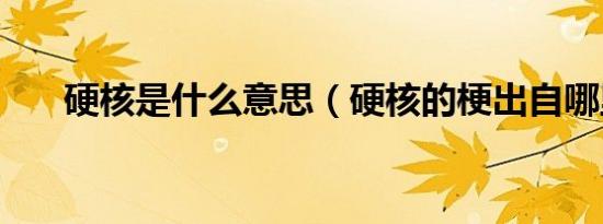 硬核是什么意思（硬核的梗出自哪里）