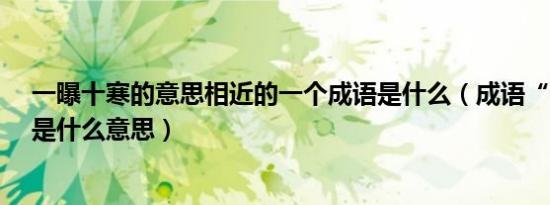 一曝十寒的意思相近的一个成语是什么（成语“一曝十寒”是什么意思）