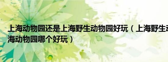 上海动物园还是上海野生动物园好玩（上海野生动物园和上海动物园哪个好玩）