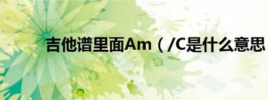 吉他谱里面am（/c是什么意思）