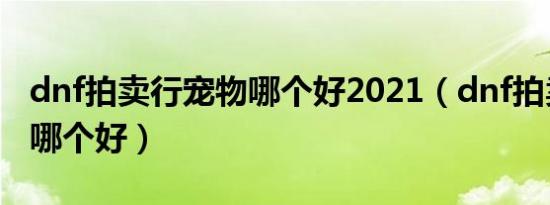 dnf拍卖行宠物哪个好2021（dnf拍卖行宠物哪个好）