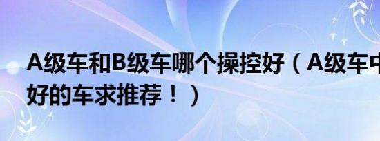 a级车和b级车哪个操控好（a级车中操控性好的车求推荐！）