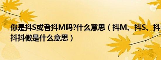 你是抖s或者抖m吗?什么意思（抖m、抖s、抖森、妹抖、抖抖傲是什么意思）