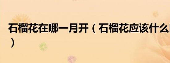 石榴花在哪一月开（石榴花应该什么时候开呢）