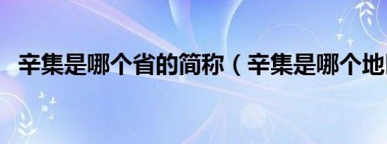 辛集是哪个省的简称（辛集是哪个地区的）