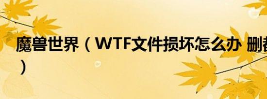 魔兽世界（wtf文件损坏怎么办 删都删不掉）