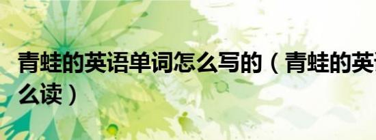 青蛙的英语单词怎么写的（青蛙的英语单词怎么读）