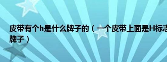 皮带有个h是什么牌子的（一个皮带上面是h标志的是什么牌子）