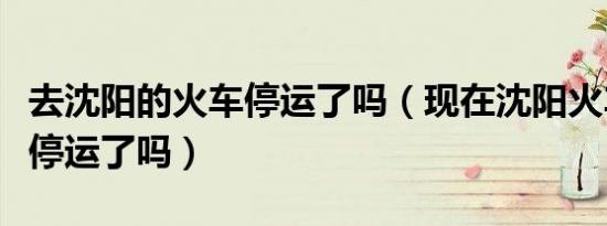 去沈阳的火车停运了吗（现在沈阳火车站火车停运了吗）