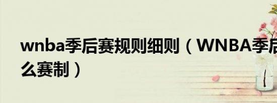 wnba季后赛规则细则（wnba季后赛是什么赛制）