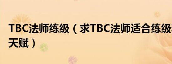 tbc法师练级（求tbc法师适合练级和副本的天赋）