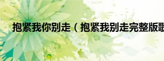 抱紧我你别走（抱紧我别走完整版歌词）