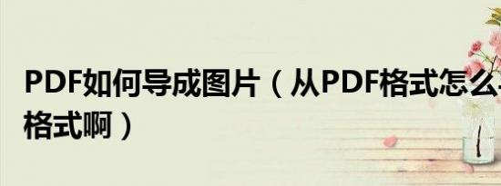 pdf如何导成图片（从pdf格式怎么导成图片格式啊）