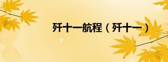 歼十一航程（歼十一）