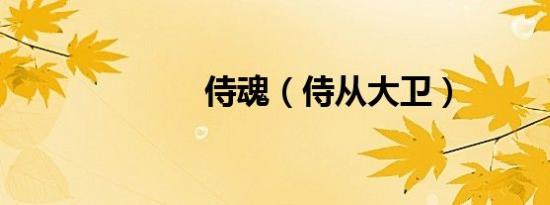 侍魂（侍从大卫）