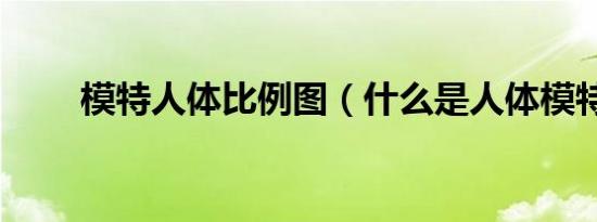 模特人体比例图（什么是人体模特）