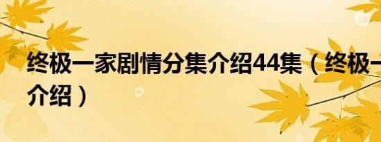 终极一家剧情分集介绍44集（终极一家剧情介绍）
