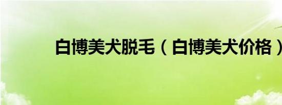白博美犬脱毛（白博美犬价格）