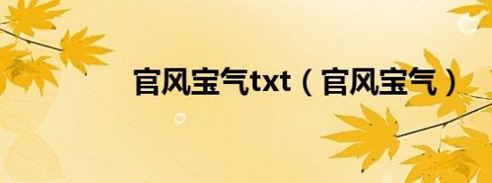 官风宝气txt（官风宝气）