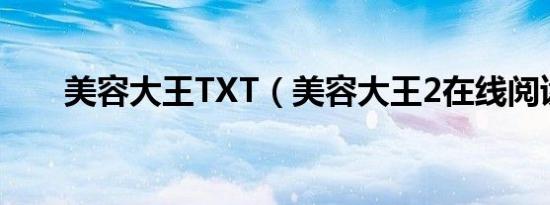 美容大王txt（美容大王2在线阅读）