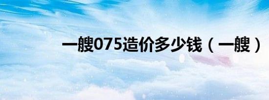 一艘075造价多少钱（一艘）