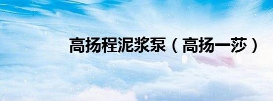 高扬程泥浆泵（高扬一莎）