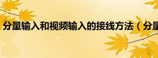 分量输入和视频输入的接线方法（分量输入）