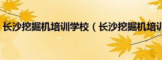 长沙挖掘机培训学校（长沙挖掘机培训学校）