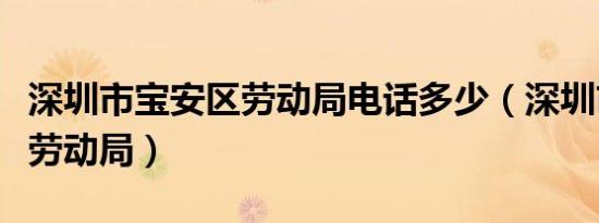 深圳市宝安区劳动局电话多少（深圳市宝安区劳动局）